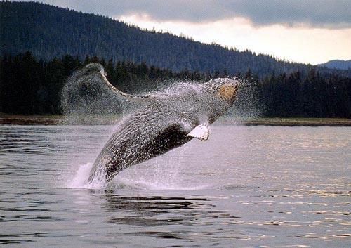 Loading Resort Image...